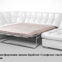 Диван Брайтон со спальным местом (ткань до 300) в Ялуторовске - yalutorovsk.mebel24.online | фото 2