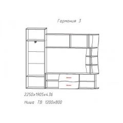 Гостиная ГАРМОНИЯ-3 (ЦРК.ГРМ.03) в Ялуторовске - yalutorovsk.mebel24.online | фото 2