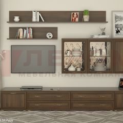 Гостиная Карина Композиция 10 (Акация Молдау) в Ялуторовске - yalutorovsk.mebel24.online | фото
