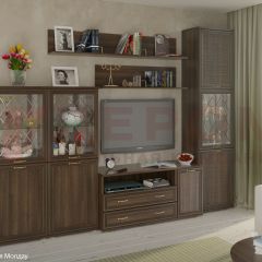 Гостиная Карина Композиция 22 (Акация Молдау) в Ялуторовске - yalutorovsk.mebel24.online | фото