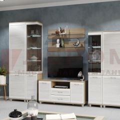 Гостиная Мелисса Композиция 5 (корпус Ясень Асахи, фасад Снежный ясень) в Ялуторовске - yalutorovsk.mebel24.online | фото 2