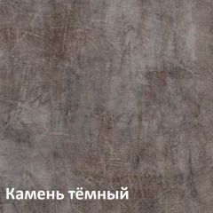 Крафт Полка навесная 15.64 в Ялуторовске - yalutorovsk.mebel24.online | фото 4