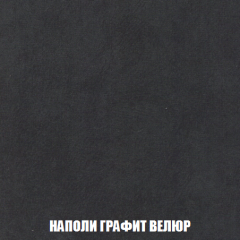 Кресло-кровать Виктория 3 (ткань до 300) в Ялуторовске - yalutorovsk.mebel24.online | фото 38