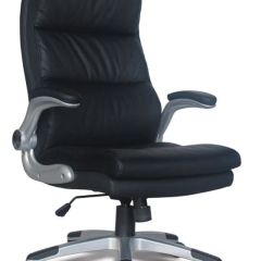 Кресло офисное BRABIX "Fregat EX-510" (рециклированная кожа, черное) 530863 в Ялуторовске - yalutorovsk.mebel24.online | фото 1