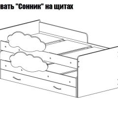 Кровать выкатная Соник (800*1900) в Ялуторовске - yalutorovsk.mebel24.online | фото 2