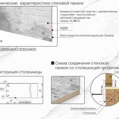 Кухонный фартук со столешницей (А-014) в едином стиле (3050 мм) в Ялуторовске - yalutorovsk.mebel24.online | фото 6