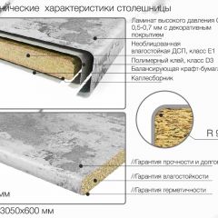 Кухонный фартук со столешницей (А-02) в едином стиле (3050 мм) в Ялуторовске - yalutorovsk.mebel24.online | фото 6