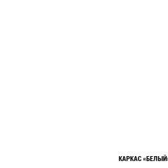 Кухонный гарнитур Алина мини (1000) в Ялуторовске - yalutorovsk.mebel24.online | фото 6