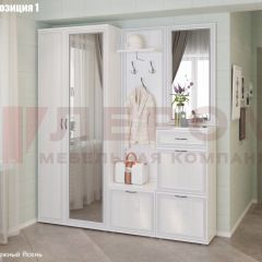 Прихожая Карина (модульная) в Ялуторовске - yalutorovsk.mebel24.online | фото 3