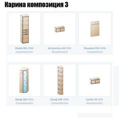 Прихожая Карина (модульная) в Ялуторовске - yalutorovsk.mebel24.online | фото 8