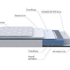 PROxSON Матрас Active Duo S/F (Ткань Трикотаж Эко) 120x190 в Ялуторовске - yalutorovsk.mebel24.online | фото 7