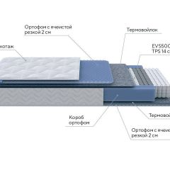 PROxSON Матрас Active M Roll (Ткань Трикотаж Эко) 120x190 в Ялуторовске - yalutorovsk.mebel24.online | фото 7