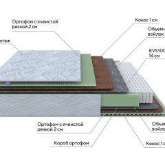 PROxSON Матрас Green M (Tricotage Dream) 120x220 в Ялуторовске - yalutorovsk.mebel24.online | фото 10