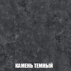 Шкаф 2-х створчатый МСП-1 (Дуб Золотой/Камень темный) в Ялуторовске - yalutorovsk.mebel24.online | фото 5