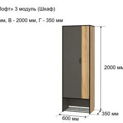 ОЛЬГА-ЛОФТ 3 Шкаф 2-х створчатый в Ялуторовске - yalutorovsk.mebel24.online | фото 4