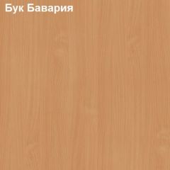 Шкаф для документов со стеклянными дверями Логика Л-9.5 в Ялуторовске - yalutorovsk.mebel24.online | фото 2