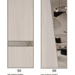 Шкаф-купе 1300 серии SILVER S4+S3Z+B2+PL1 (2 ящика+1 штанга) профиль «Серебро» в Ялуторовске - yalutorovsk.mebel24.online | фото 11