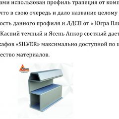 Шкаф-купе 1500 серии SILVER S1+S1+B2+PL2 (2 ящика+1 штанга+1 полка) профиль «Серебро» в Ялуторовске - yalutorovsk.mebel24.online | фото 4