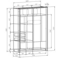 Шкаф-купе 1600 с плитой 22 мм ЛИБЕРТИ в Ялуторовске - yalutorovsk.mebel24.online | фото 4