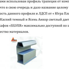 Шкаф-купе 1700 серии SILVER S5+S5+B2+PL3 (2 ящика+2 штанги) профиль «Серебро» в Ялуторовске - yalutorovsk.mebel24.online | фото 4