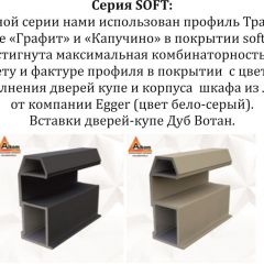 Шкаф-купе 2400 серии SOFT D7+D3+D3+B22+PL4 (по 2 ящика лев/прав+2штанги) профиль «Капучино» в Ялуторовске - yalutorovsk.mebel24.online | фото 13
