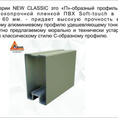 Шкаф-купе 2450 серии NEW CLASSIC K5+K5+K5+B22+PL3 (по 2 ящика лев/прав+1 штанга+1полка) профиль «Капучино» в Ялуторовске - yalutorovsk.mebel24.online | фото 17