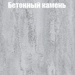 Шкаф-купе Бассо 1.0 (Дуб Крафт серый/Бетонный камень) 2 двери ЛДСП в Ялуторовске - yalutorovsk.mebel24.online | фото 3