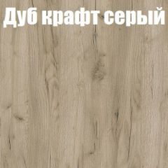 Шкаф-купе Бассо 1.0 (Дуб Крафт серый/Бетонный камень) 2 двери ЛДСП в Ялуторовске - yalutorovsk.mebel24.online | фото 4