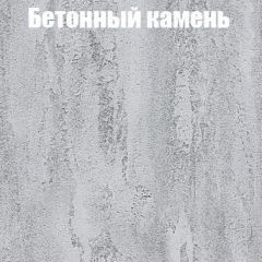 Шкаф-купе Бассо 1.0 (Дуб Крафт серый/Бетонный камень) 2 двери ЛДСП 1 зеркальная вставка в Ялуторовске - yalutorovsk.mebel24.online | фото 3