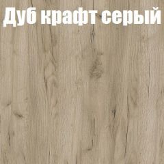 Шкаф-купе Бассо 1.0 (Дуб Крафт серый/Бетонный камень) 2 двери ЛДСП 1 зеркальная вставка в Ялуторовске - yalutorovsk.mebel24.online | фото 4