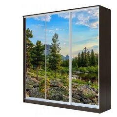 Шкаф-купе ХИТ 23-4-18-777 (420) в Ялуторовске - yalutorovsk.mebel24.online | фото 1