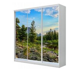 Шкаф-купе ХИТ 24-4-18-777 (420) в Ялуторовске - yalutorovsk.mebel24.online | фото
