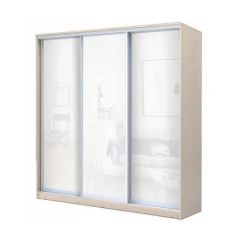 Шкаф-купе ХИТ 24-4-20-888 (420) в Ялуторовске - yalutorovsk.mebel24.online | фото 5