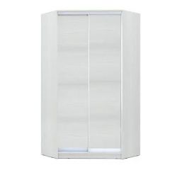Шкаф-купе ХИТ-У-24-4-11 в Ялуторовске - yalutorovsk.mebel24.online | фото
