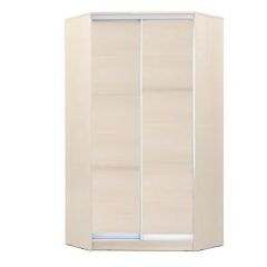 Шкаф-купе ХИТ-У-24-4-11 в Ялуторовске - yalutorovsk.mebel24.online | фото 7