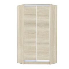 Шкаф-купе ХИТ-У-24-4-11 в Ялуторовске - yalutorovsk.mebel24.online | фото 8