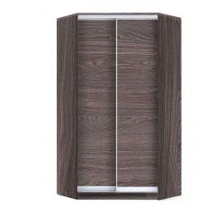 Шкаф-купе ХИТ-У-24-4-11 в Ялуторовске - yalutorovsk.mebel24.online | фото 11