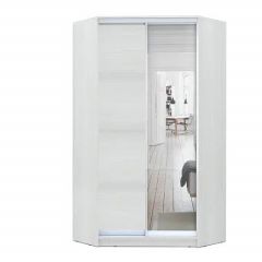 Шкаф-купе ХИТ-У-24-4-15 в Ялуторовске - yalutorovsk.mebel24.online | фото