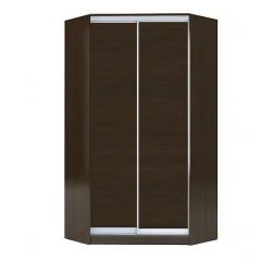 Шкаф-купе ХИТ-У-L-23-64-11 в Ялуторовске - yalutorovsk.mebel24.online | фото 1