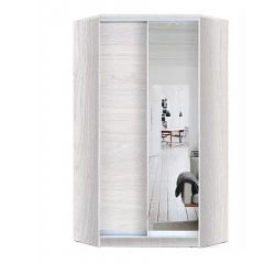 Шкаф-купе ХИТ-У-L-24-64-15 в Ялуторовске - yalutorovsk.mebel24.online | фото 6