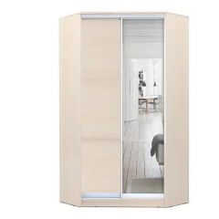 Шкаф-купе ХИТ-У-L-24-64-15 в Ялуторовске - yalutorovsk.mebel24.online | фото 7