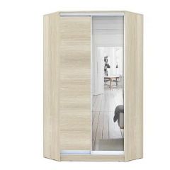 Шкаф-купе ХИТ-У-L-24-64-15 в Ялуторовске - yalutorovsk.mebel24.online | фото 8
