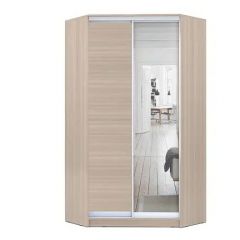 Шкаф-купе ХИТ-У-L-24-64-15 в Ялуторовске - yalutorovsk.mebel24.online | фото 9