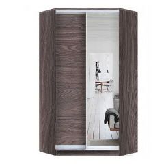 Шкаф-купе ХИТ-У-L-24-64-15 в Ялуторовске - yalutorovsk.mebel24.online | фото 11