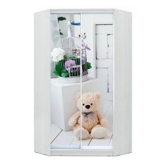 Шкаф-купе ХИТ-У-L-24-64-77 в Ялуторовске - yalutorovsk.mebel24.online | фото