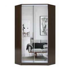 Шкаф-купе ХИТ-У-R-23-64-55 в Ялуторовске - yalutorovsk.mebel24.online | фото 1