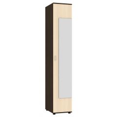 Шкаф с зеркалом "Алиса (H2_M)" ручка скоба в Ялуторовске - yalutorovsk.mebel24.online | фото 9
