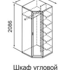 Шкаф угловой для одежды Ника-Люкс 30 без зеркал в Ялуторовске - yalutorovsk.mebel24.online | фото 3