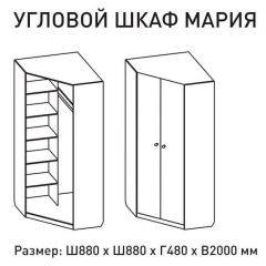 Шкаф угловой Мария 880*880 (ЛДСП 1 кат.) в Ялуторовске - yalutorovsk.mebel24.online | фото 2