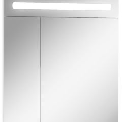 Шкаф-зеркало Аврора 65 с подсветкой LED Домино (DV8006HZ) в Ялуторовске - yalutorovsk.mebel24.online | фото 1